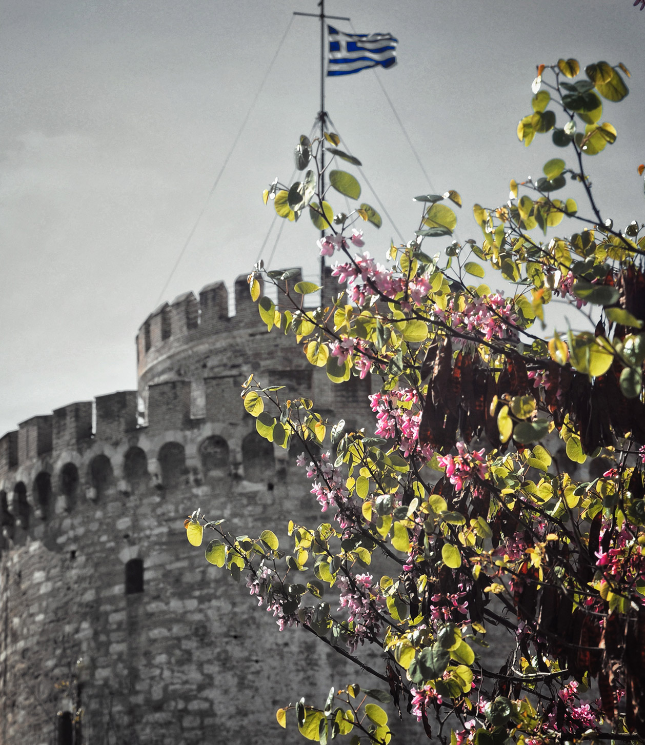 Why Greece? Why Now?